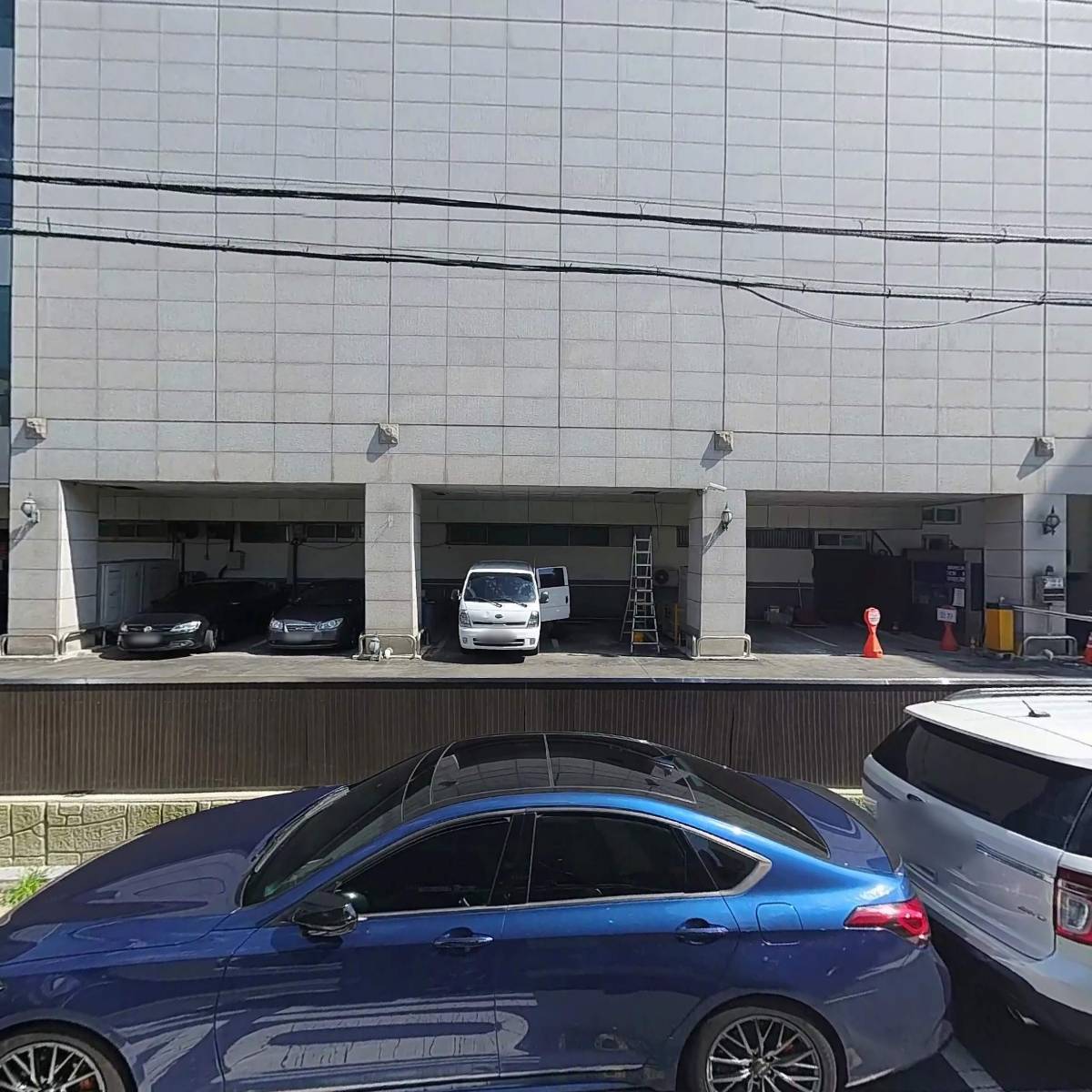 24시 더파크동물의료센터_3