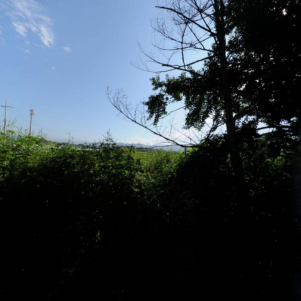 효천푸드