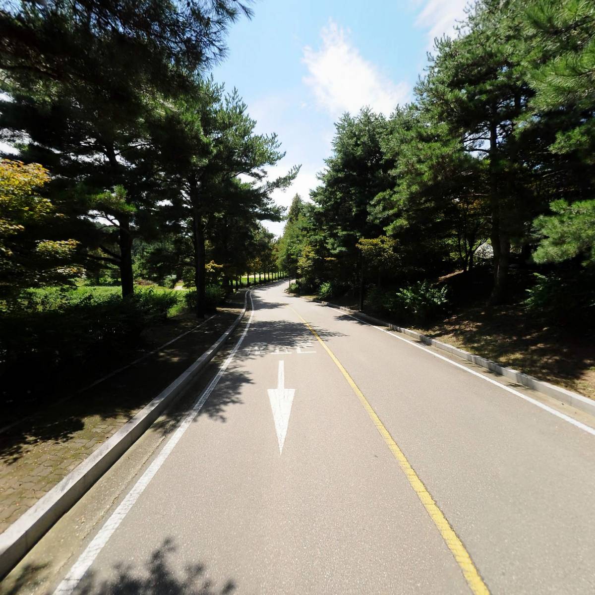 (주)비에프에스 마에스트로점_2