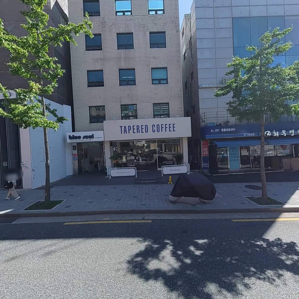 블루라이프
