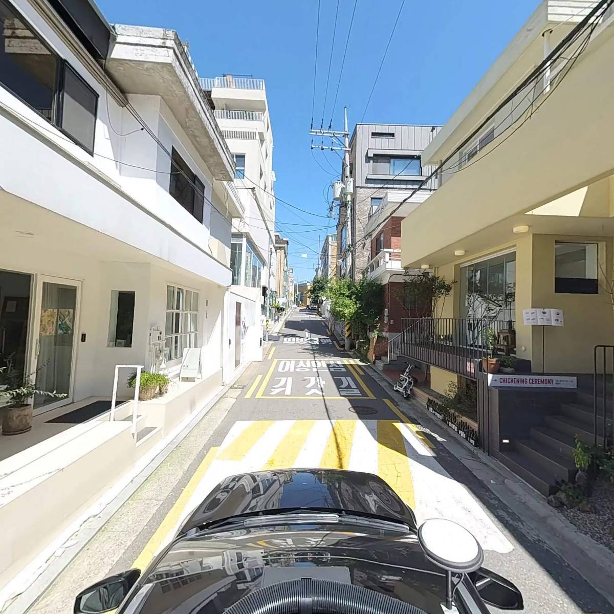 시어드_4