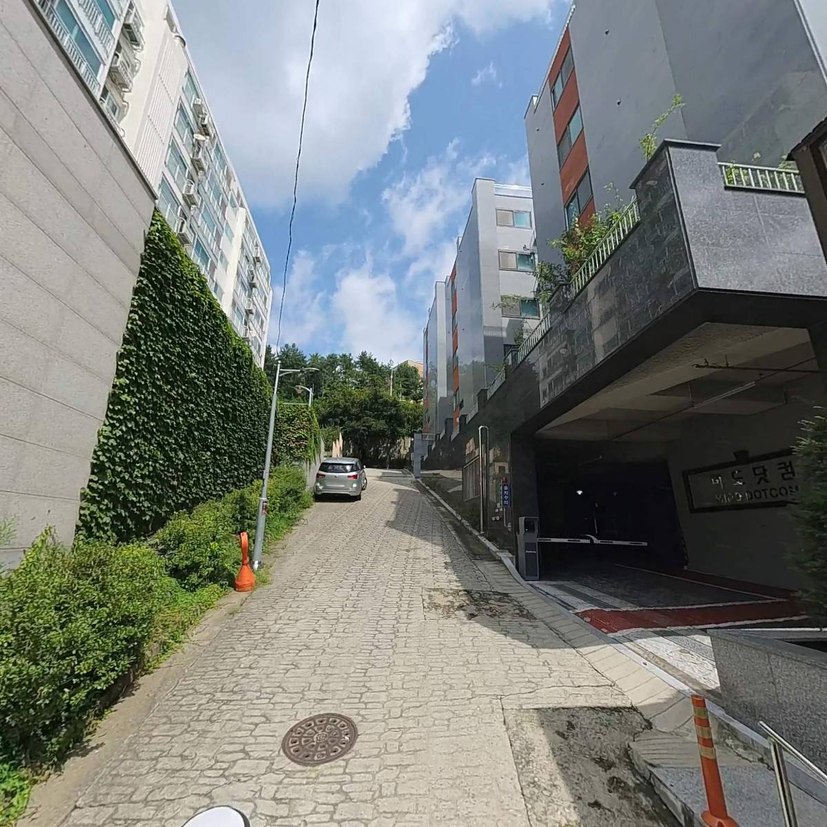 하프하티드(HALF HARTED)_2