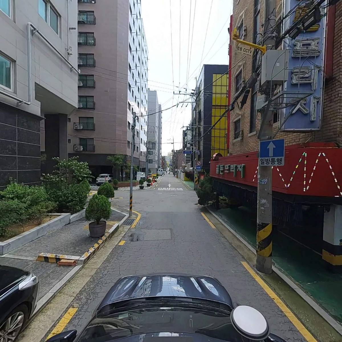 와이앤와이_4