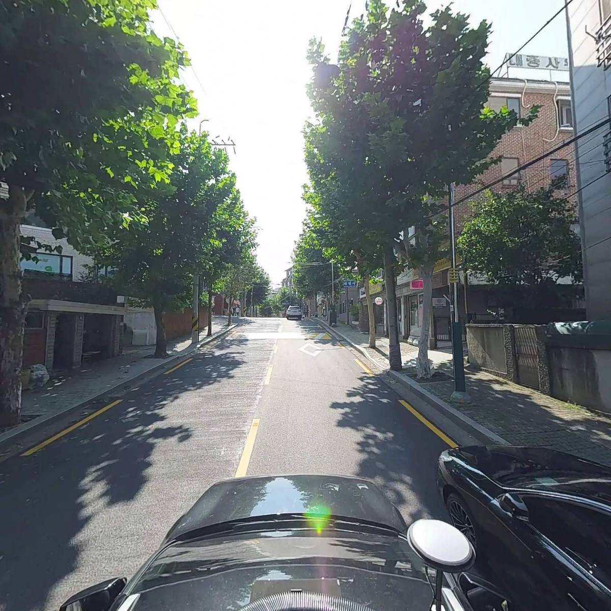 크리미데이즈_4