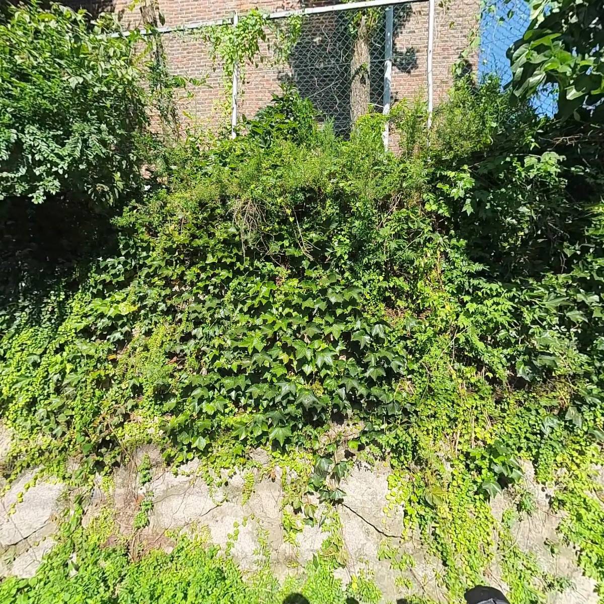 린케미스트_3