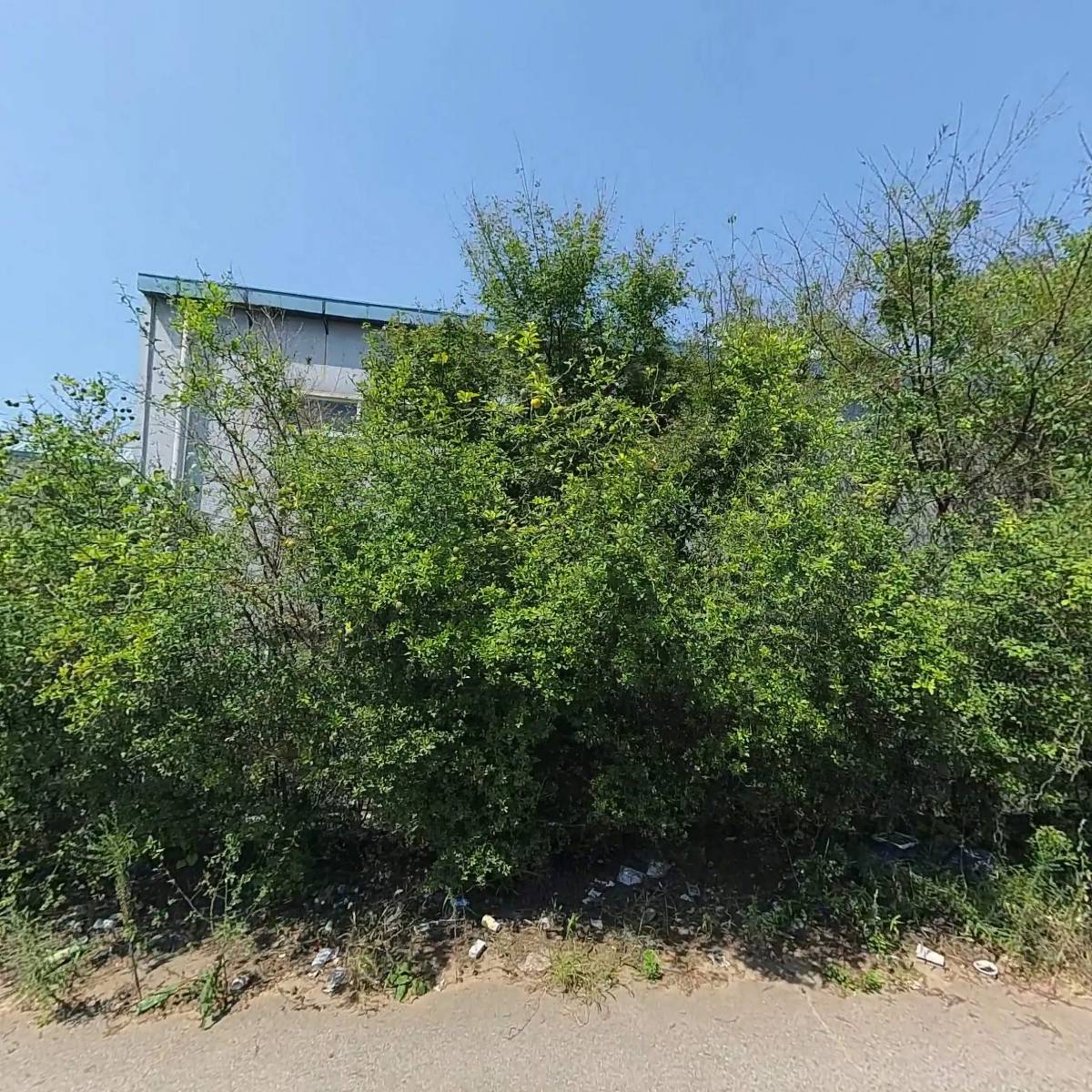 주식회사 구오_3