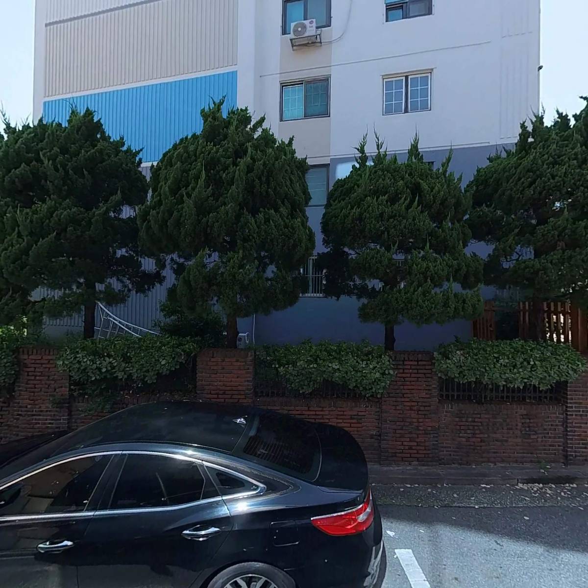 씨코다이브