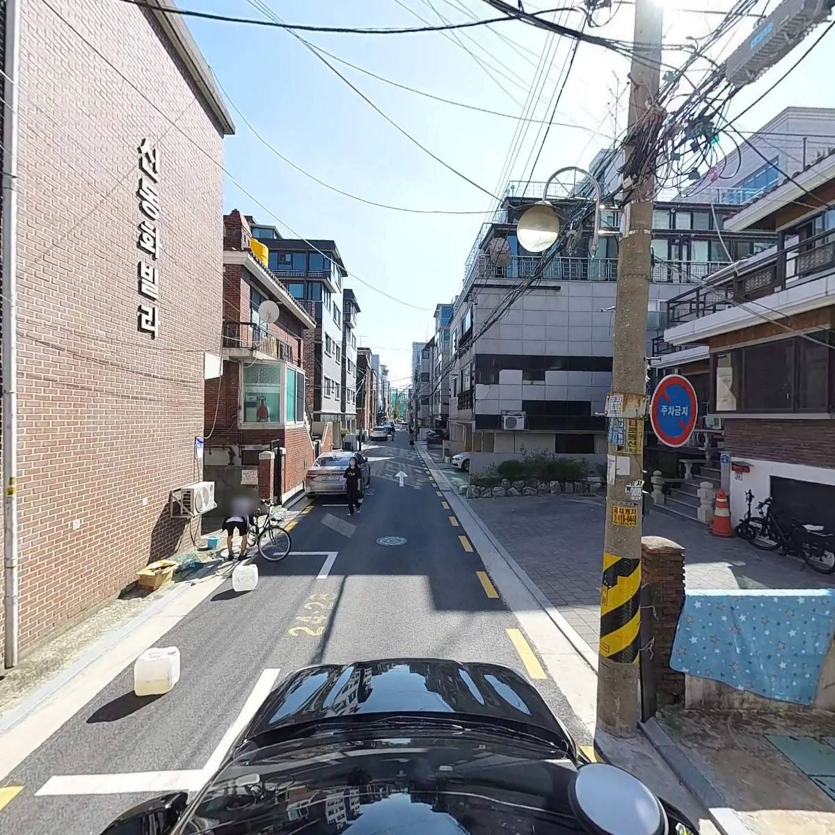 국화_4