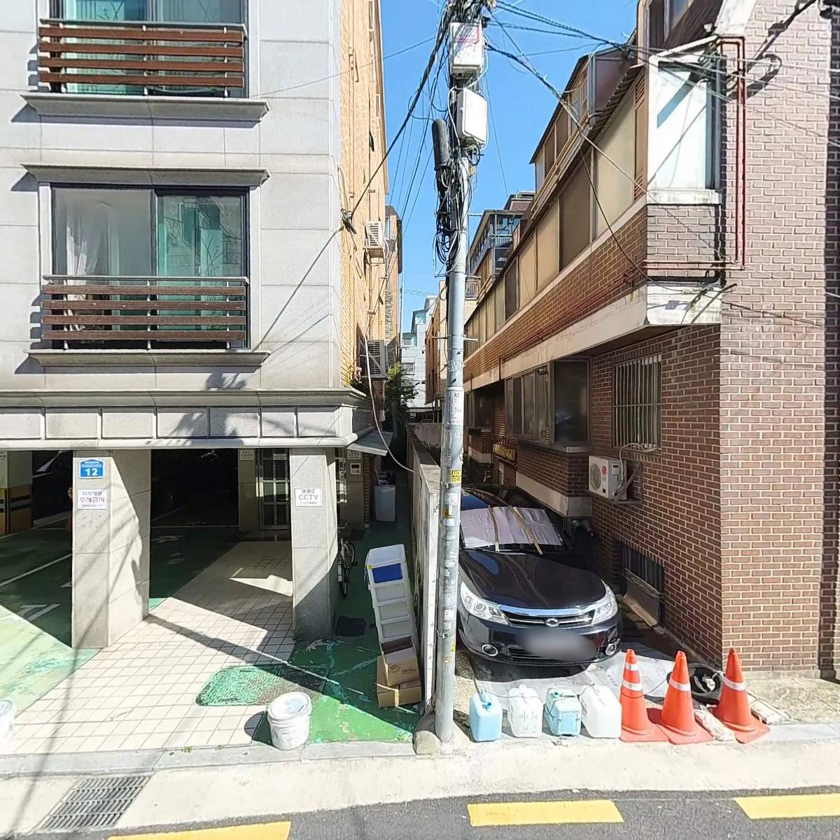 국화_3