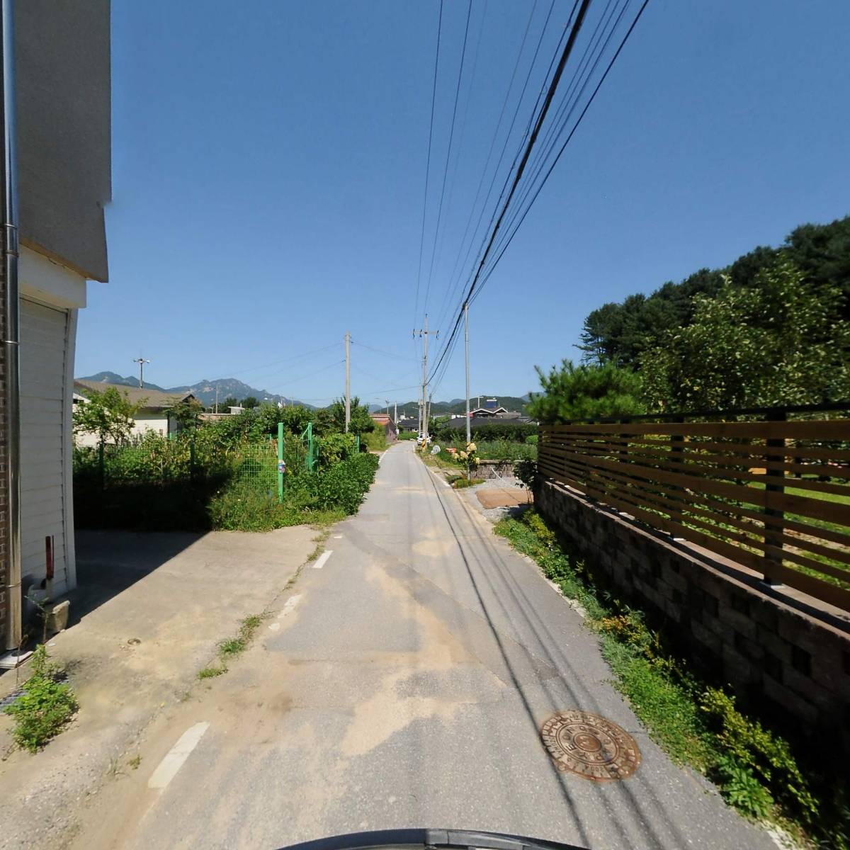 다디스_2