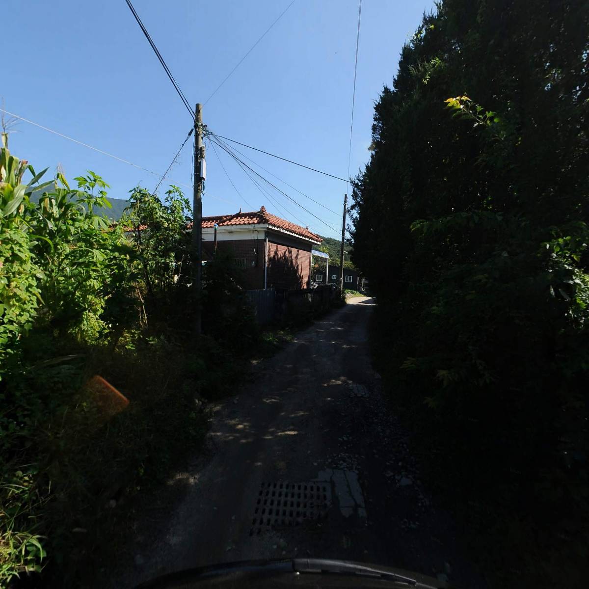 행복한 캠핑바베큐_2