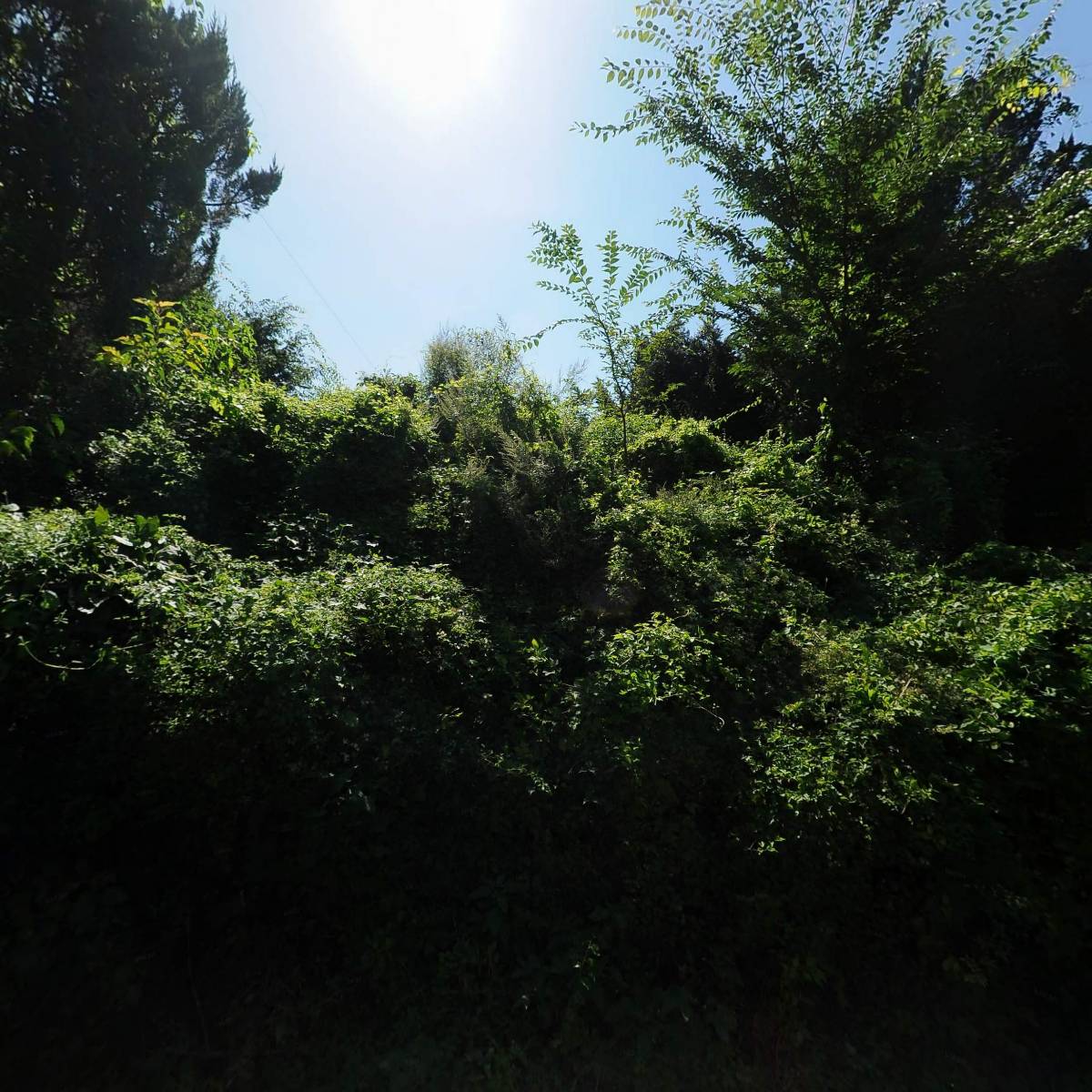 행복한 캠핑바베큐_3