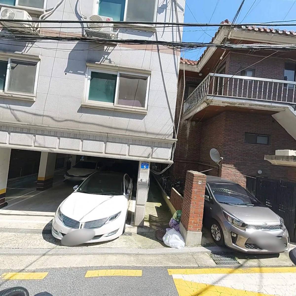 와일드도그(WILDDXXG)
