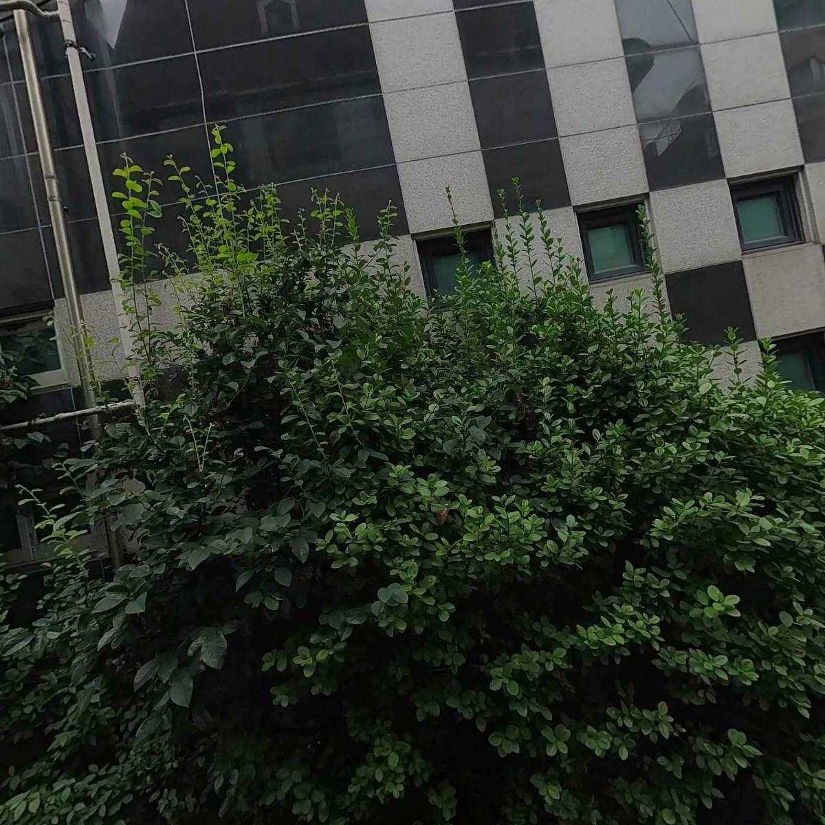 주식회사라이크어버진(LIKEAVIRGIN)