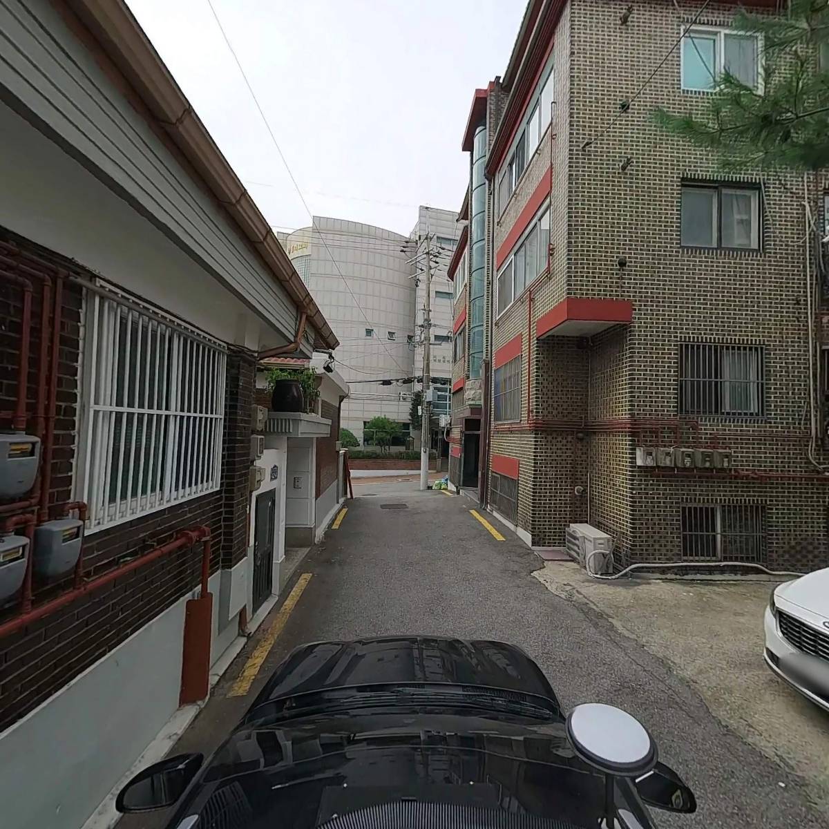 내추럴컴페니언_4