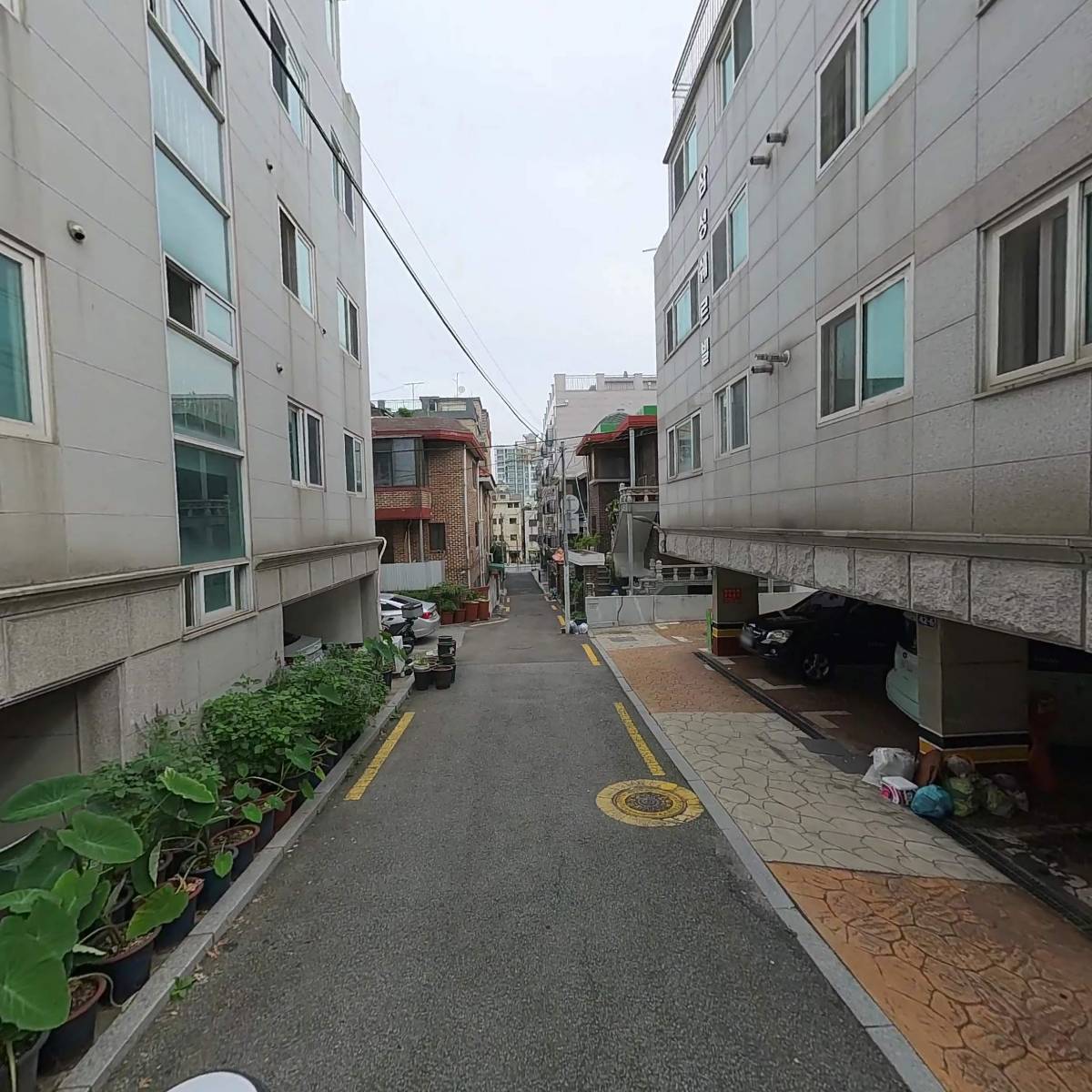 내추럴컴페니언_2