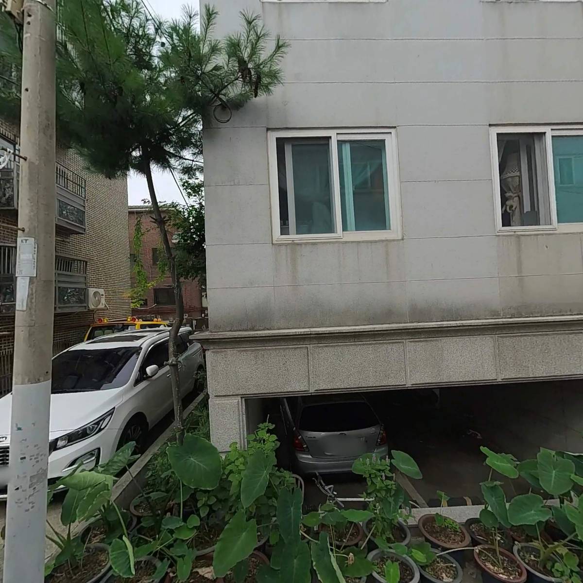 내추럴컴페니언