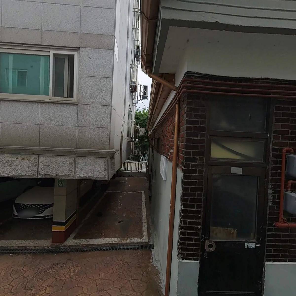내추럴컴페니언_3