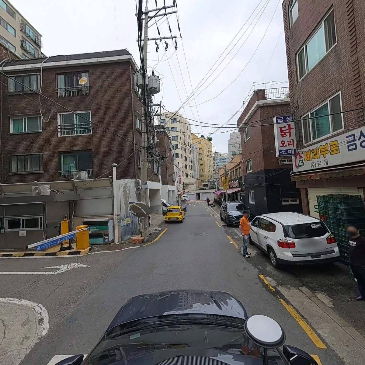 주식회사금성닭오리_4