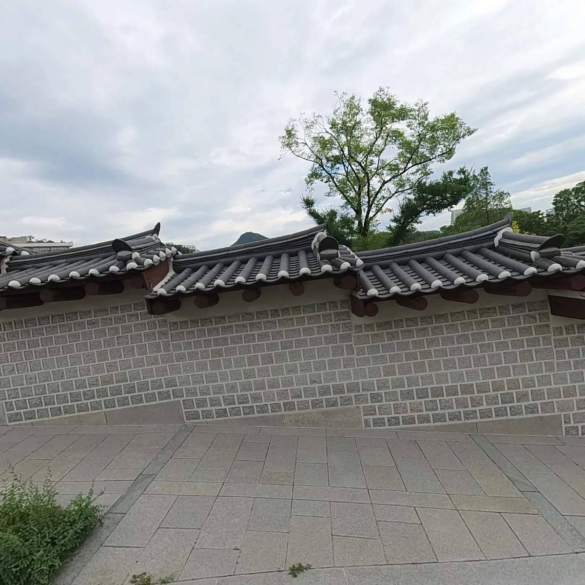안흥식품