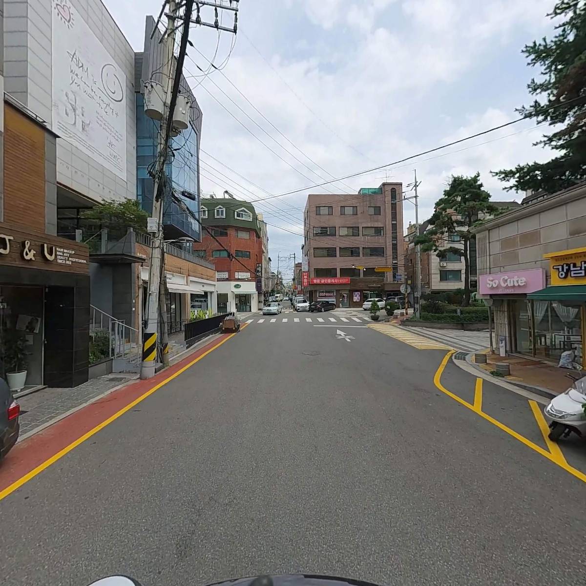 츄츄동물병원_2