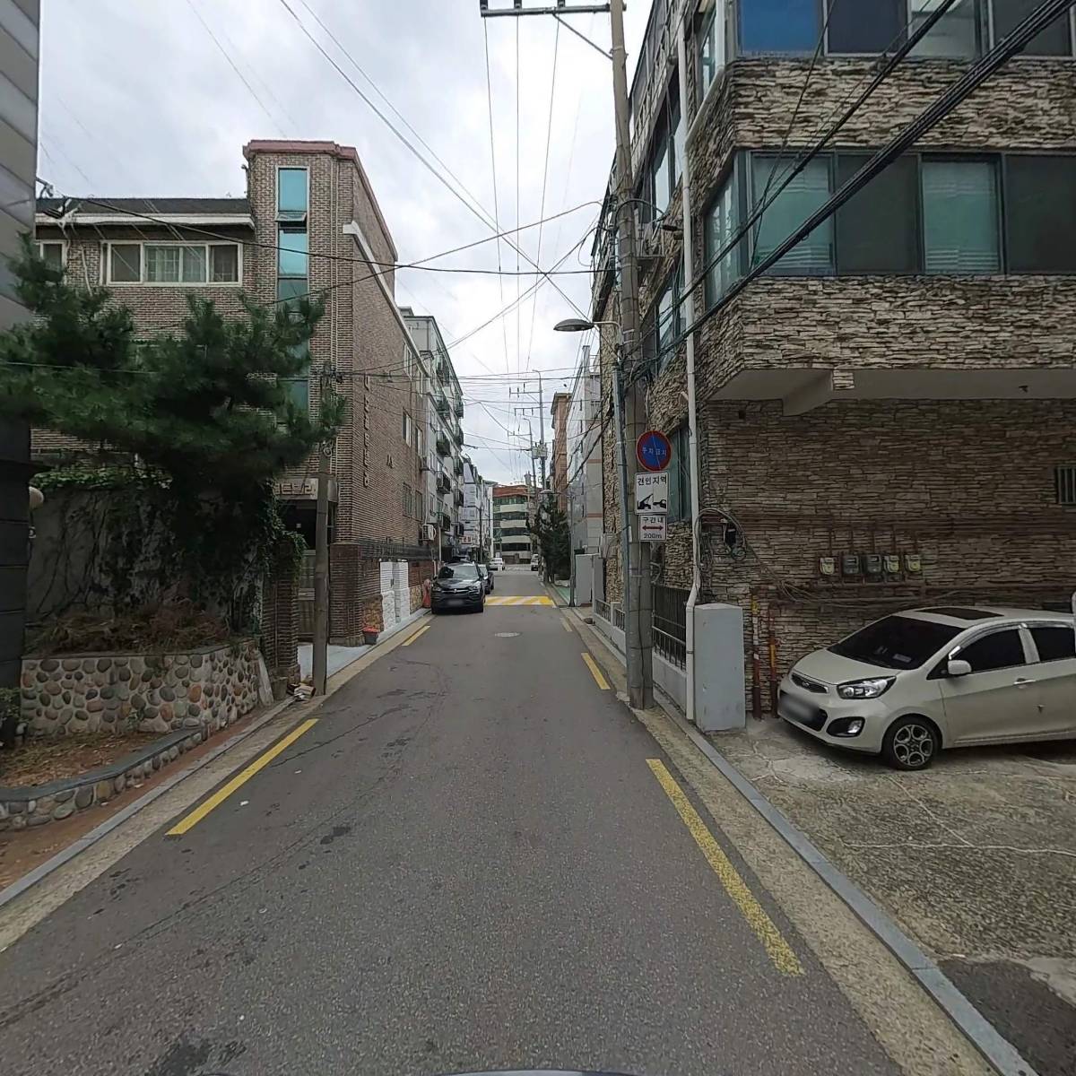 제니스(Zenith)_2