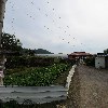 오제이 푸드_3