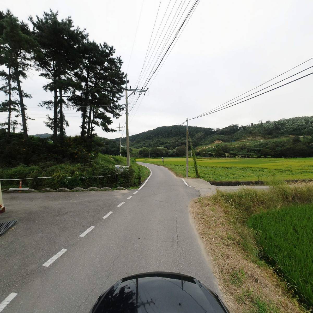 농업회사법인 해솔팜 주식회사_4
