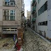 퍼피 스쿨