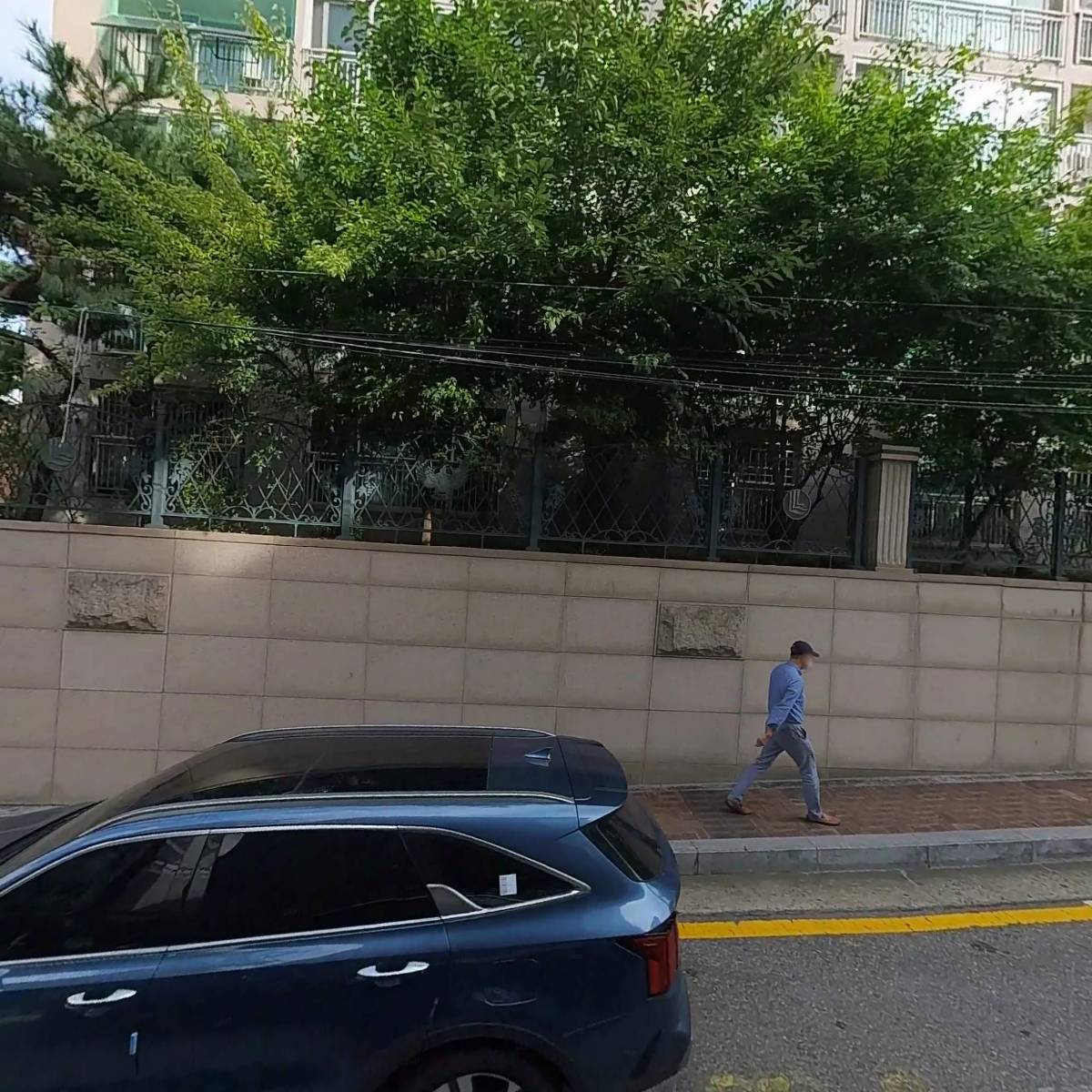 씨피플랜돼지토마토