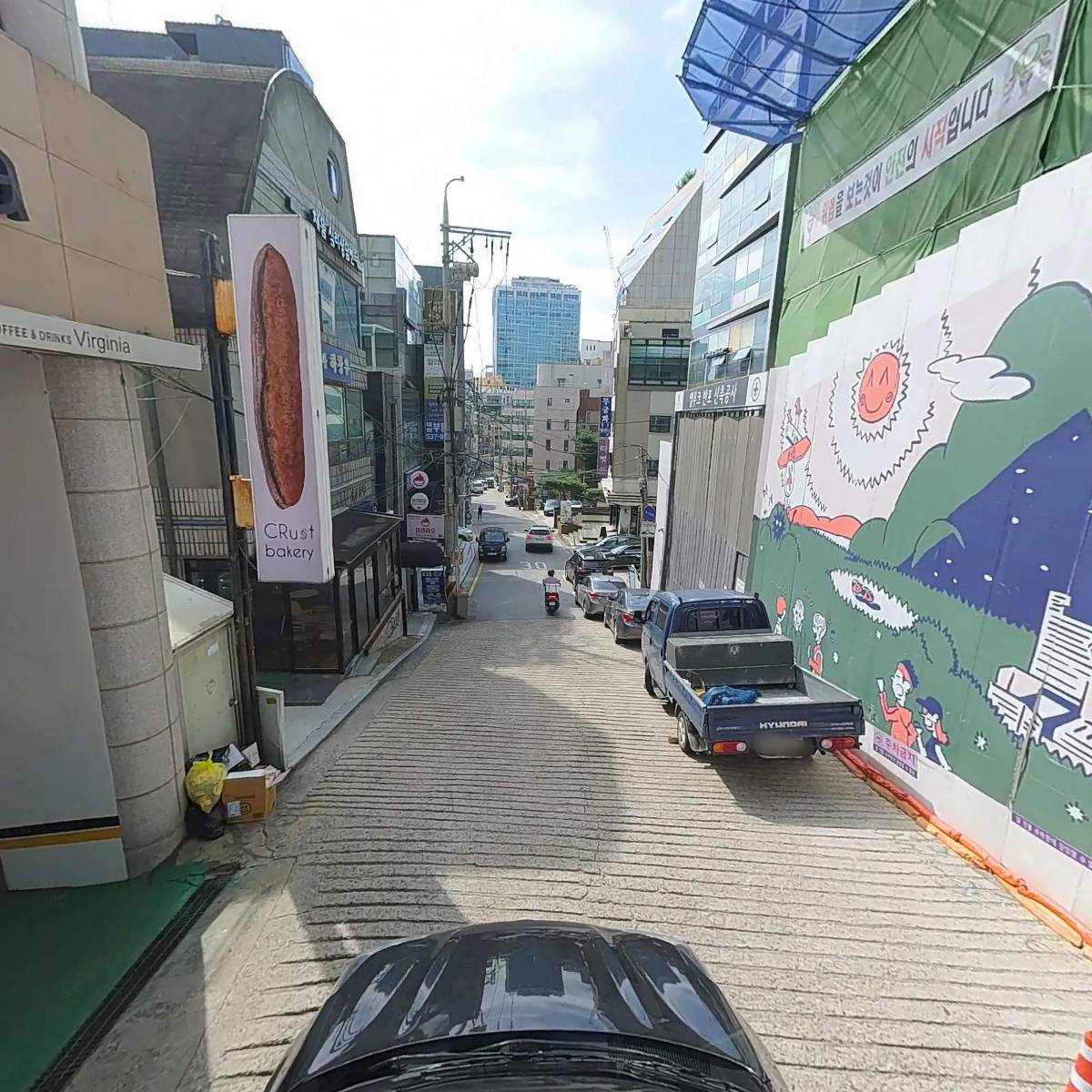 버지니아_4