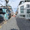 레인디어(reindeer)_2