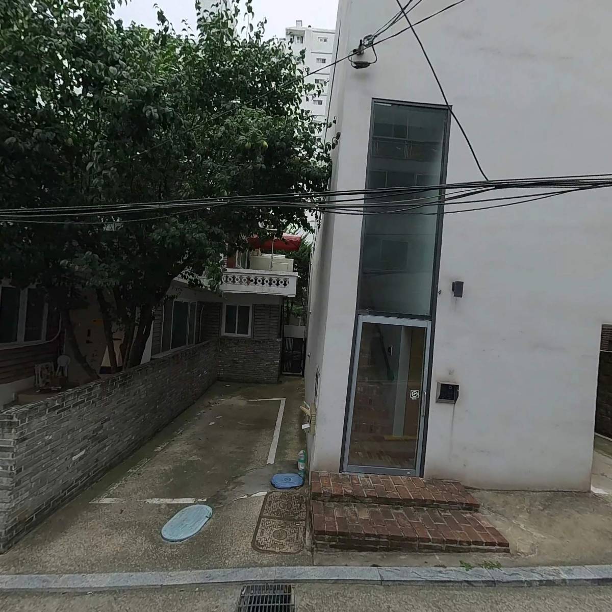 데일리코지