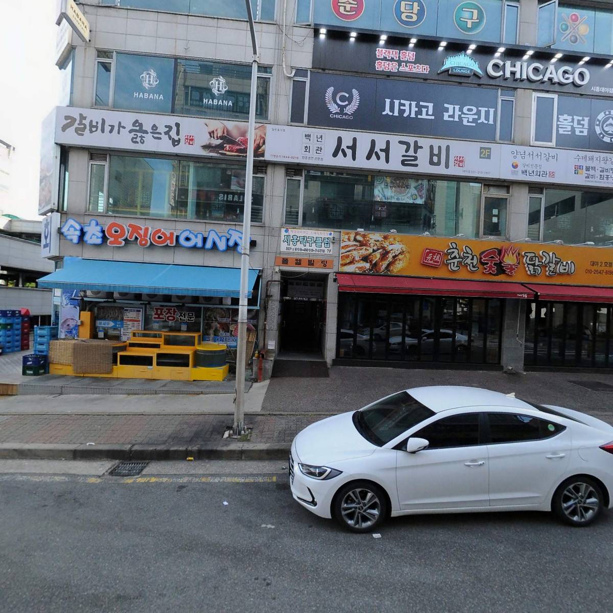 오징어나라_3