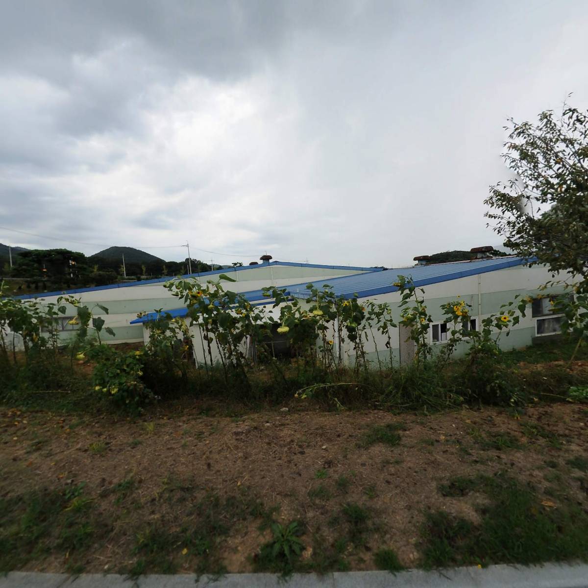 (주)캐치파워
