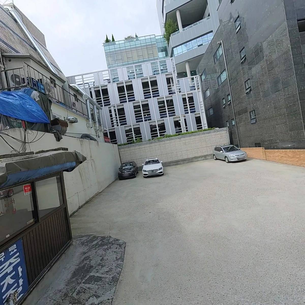 텔로미어 주식회사