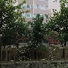 줄라이메리_3