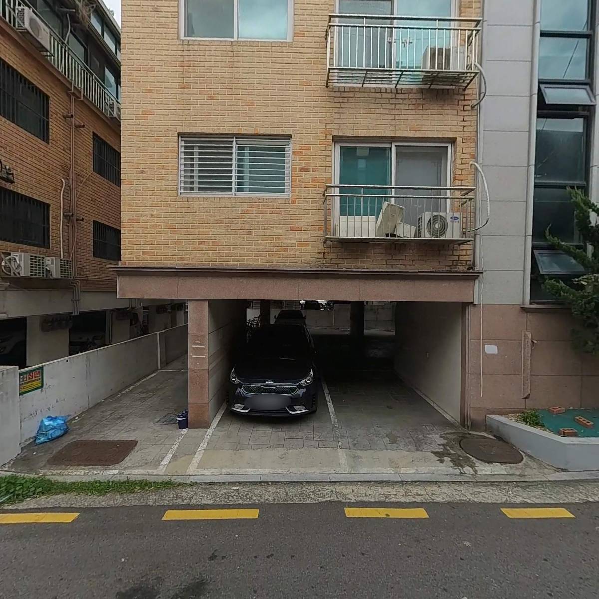 벨리스_3