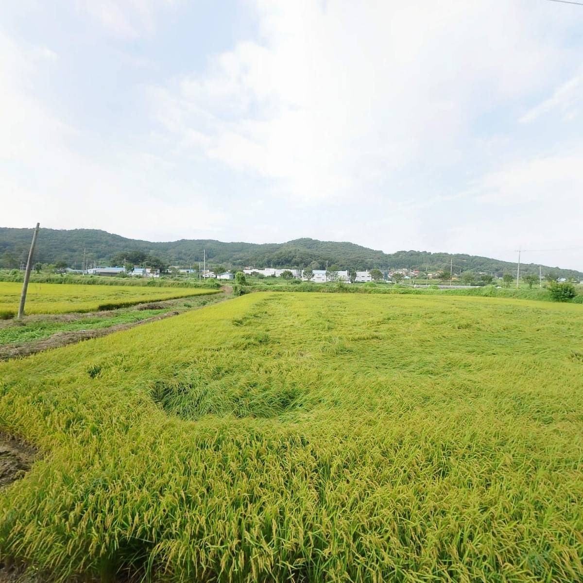 세신종합건설(주)