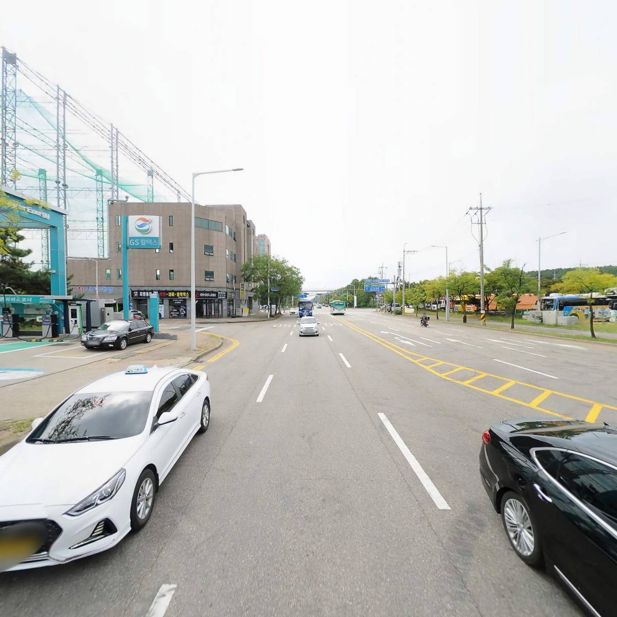 주노카_2