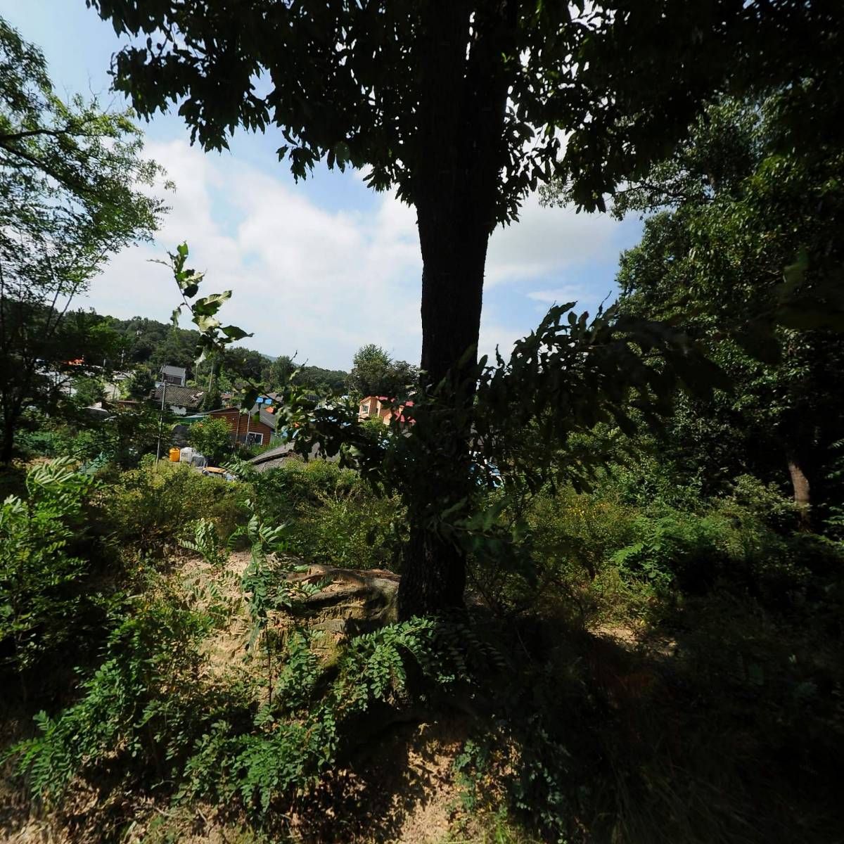 기독교대한성결교회대포리교회