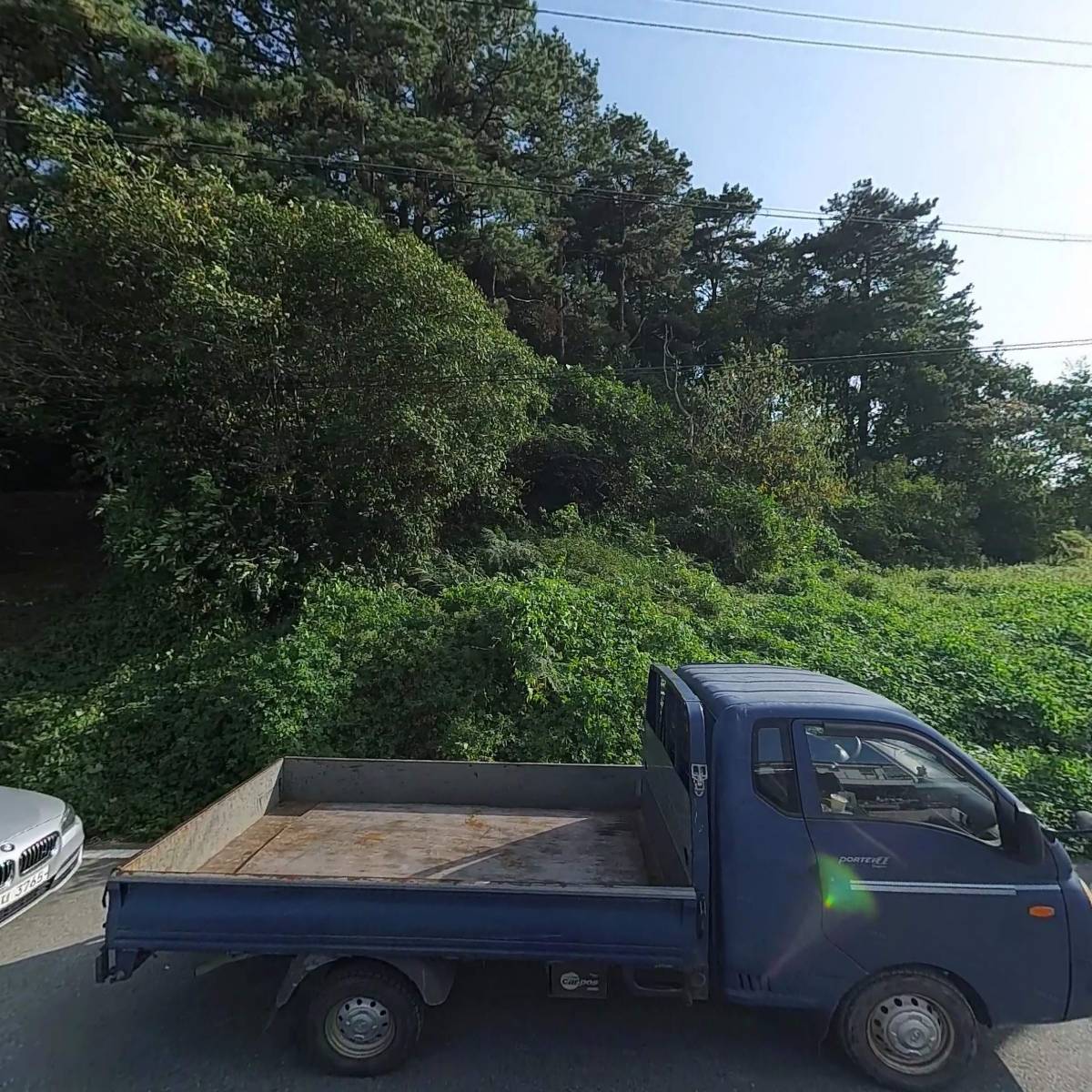멍디브
