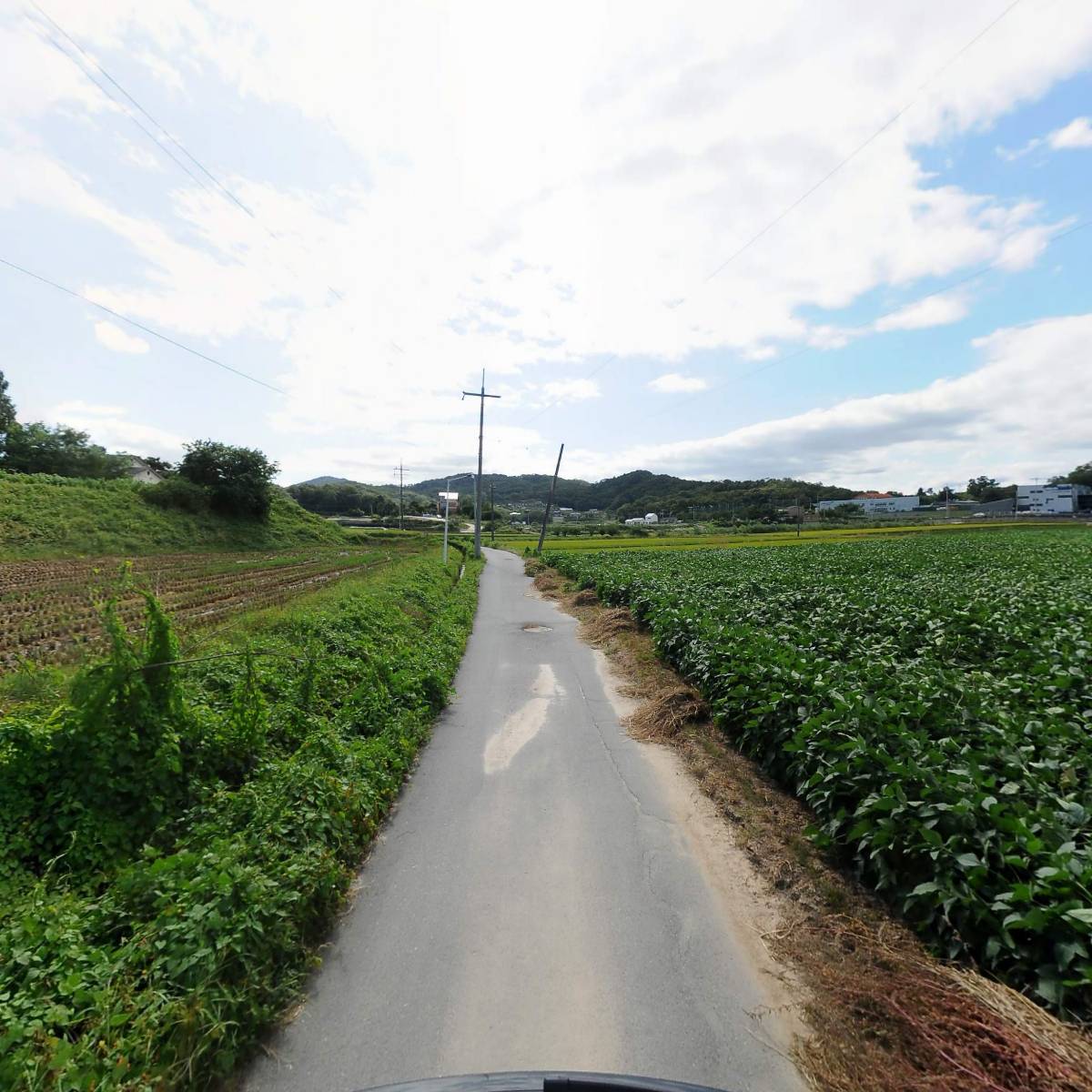 (주)동성푸드_2