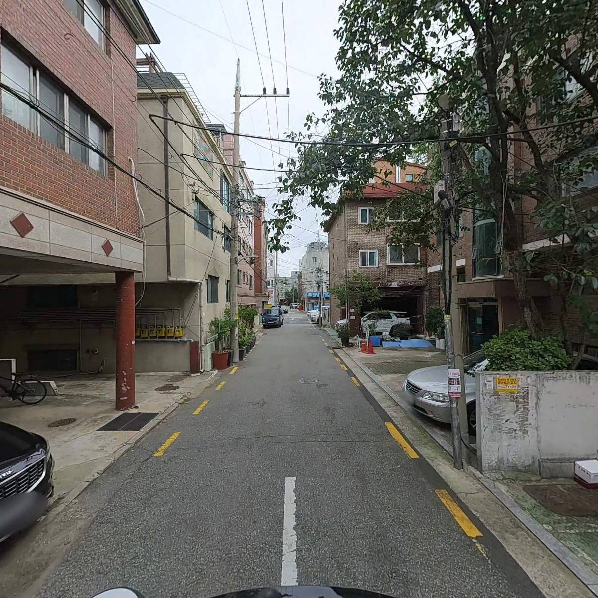 꼬끄리꼬_2