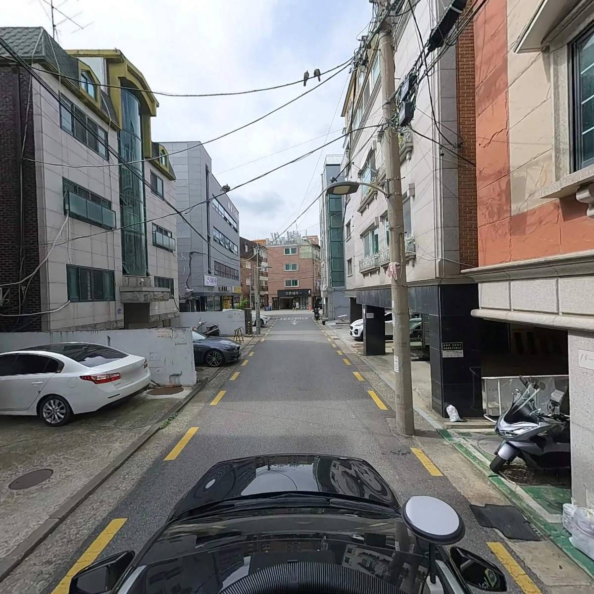 아네프_4