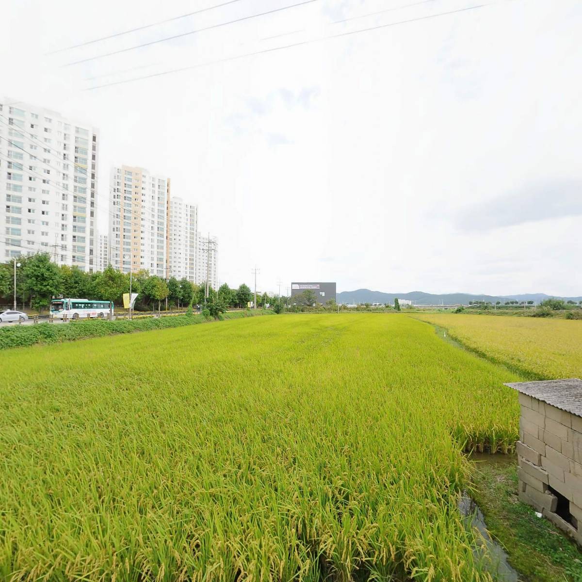 신양토건(주)