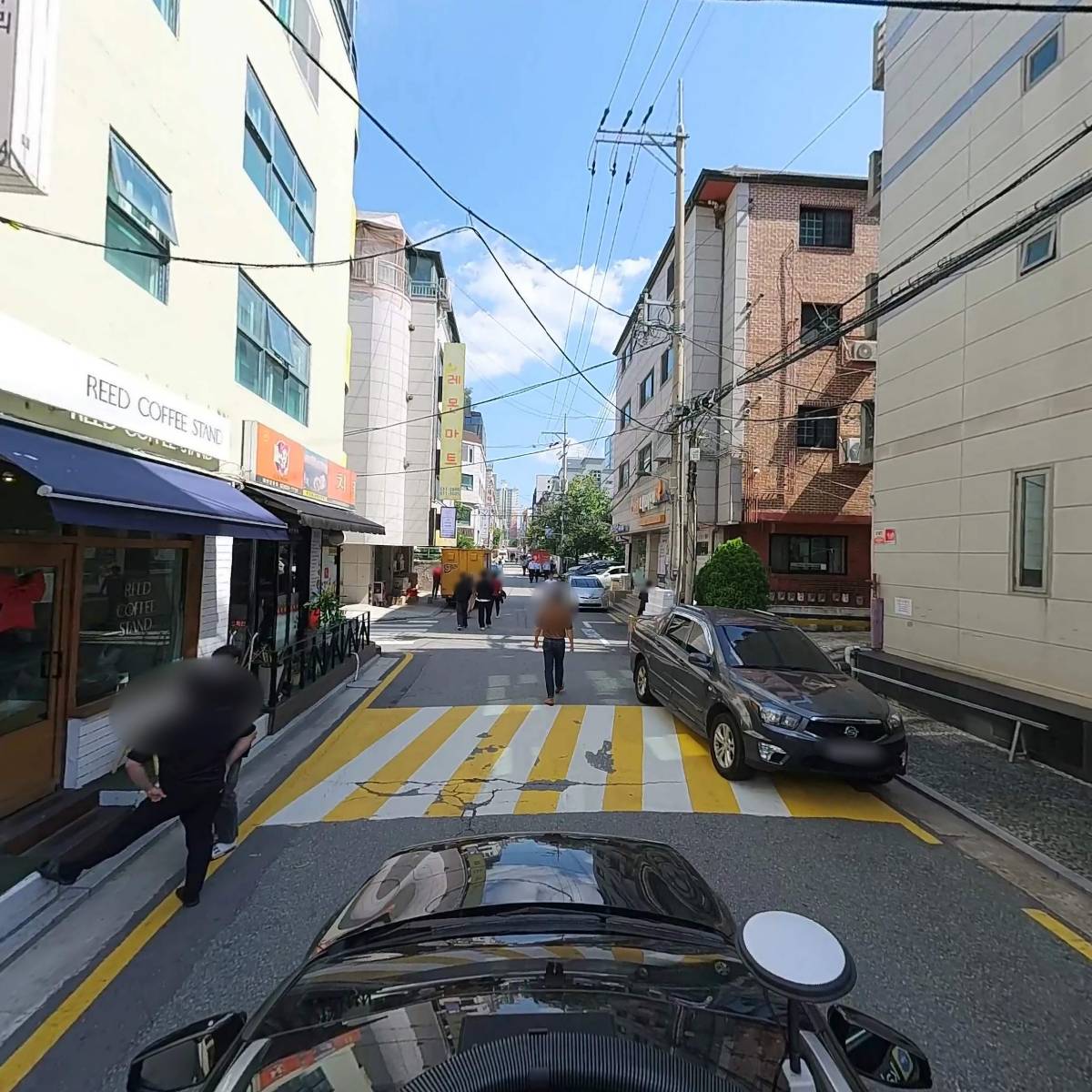 키위즈_4