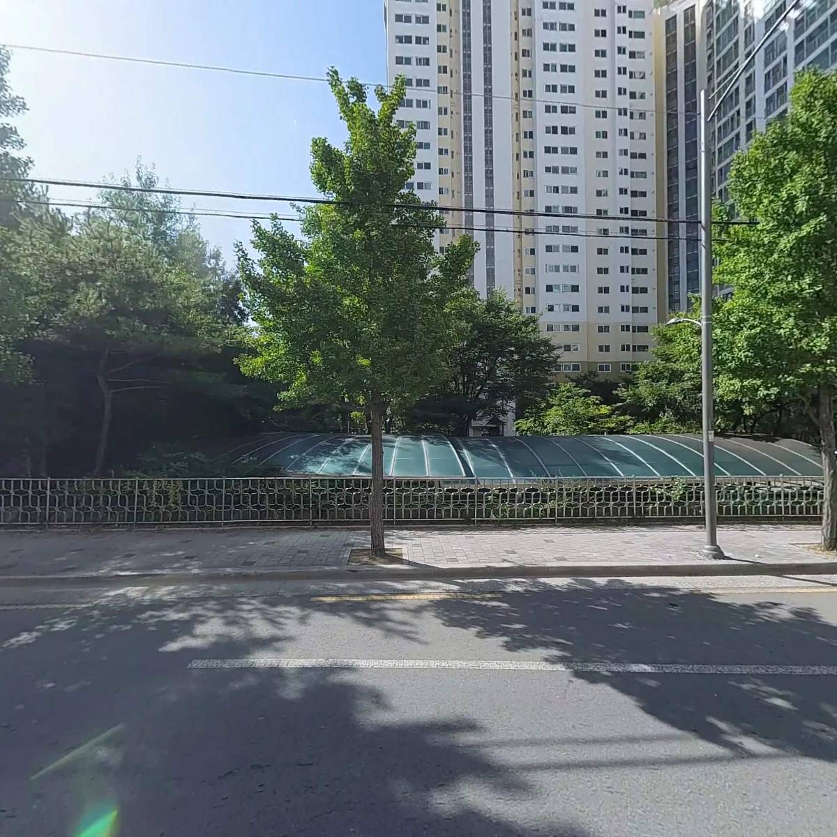 럽앨리스
