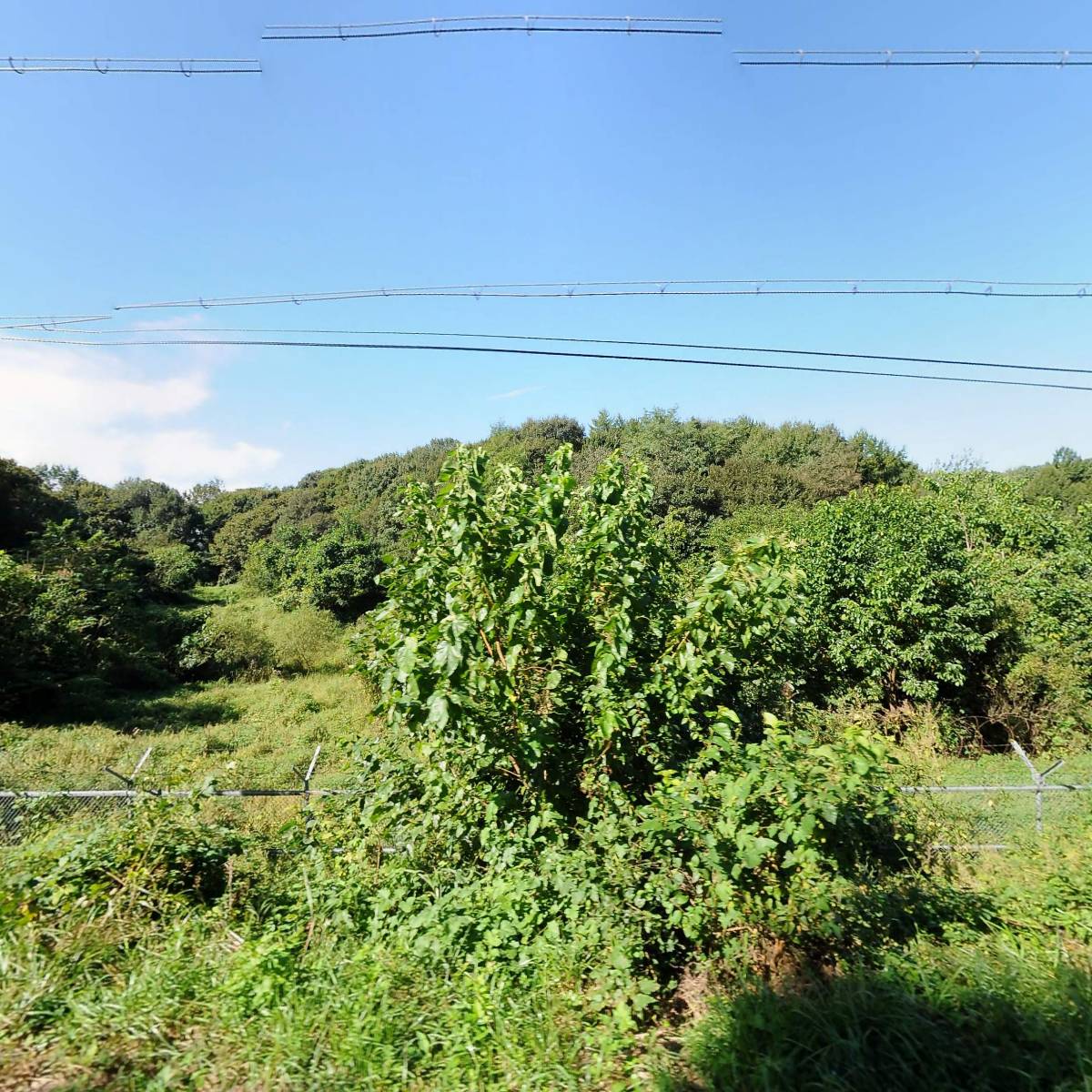 육군 제2632부대