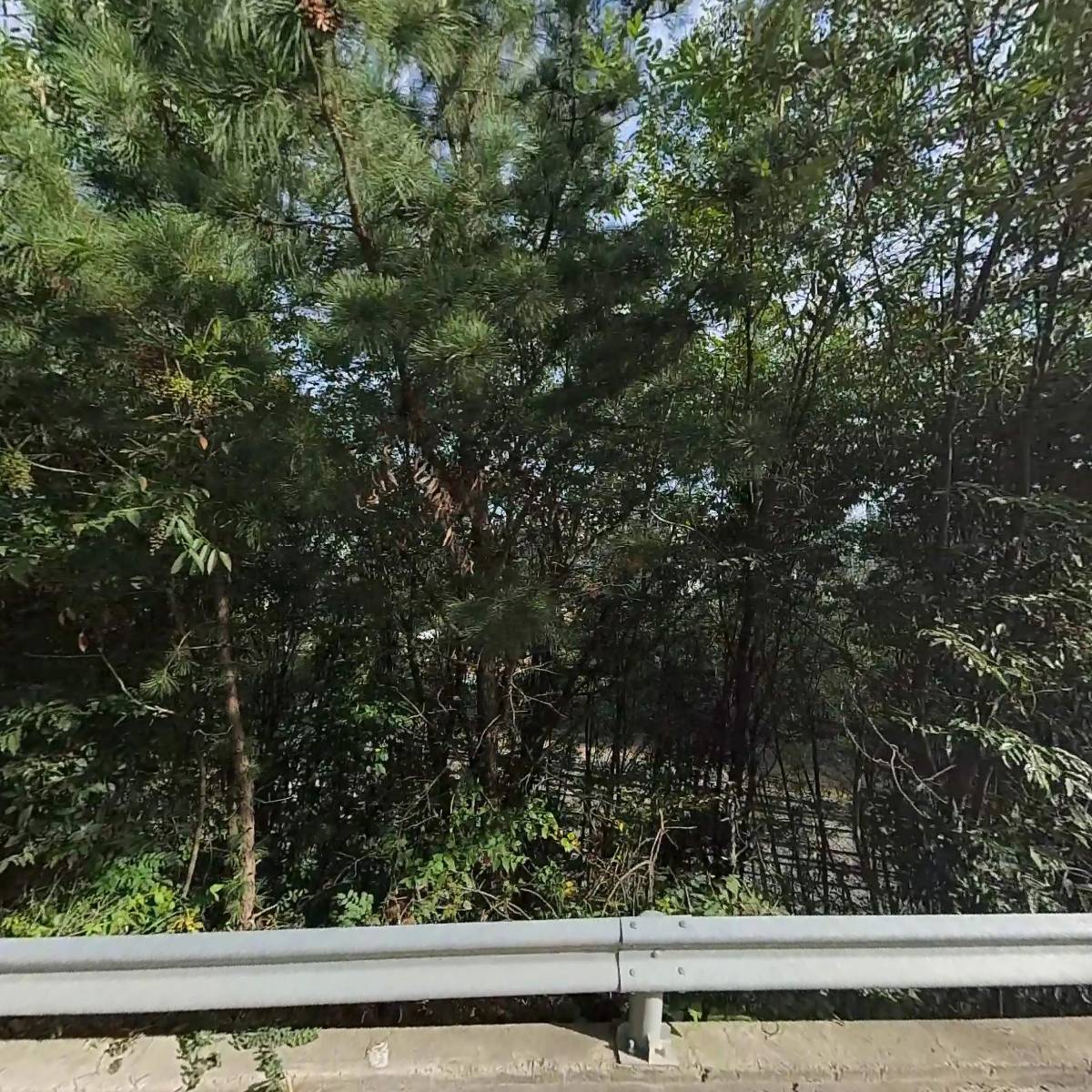 농업회사법인유한회사신성농산